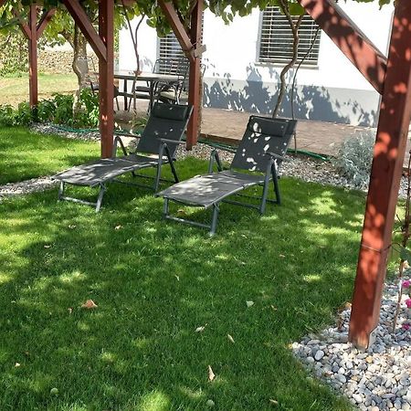 Apartma Nona Roza Zgornje Skofije Esterno foto
